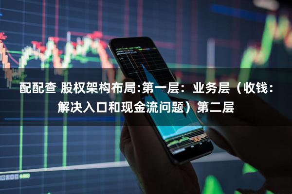 配配查 股权架构布局:第一层：业务层（收钱：解决入口和现金流问题）第二层