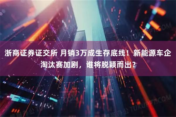 浙商证券证交所 月销3万成生存底线！新能源车企淘汰赛加剧，谁将脱颖而出？
