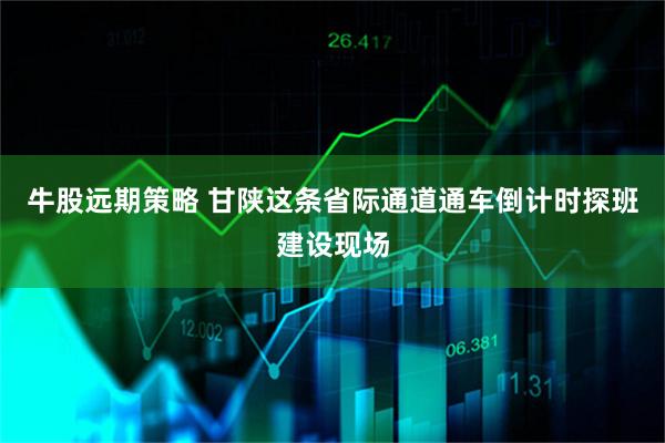 牛股远期策略 甘陕这条省际通道通车倒计时　探班建设现场
