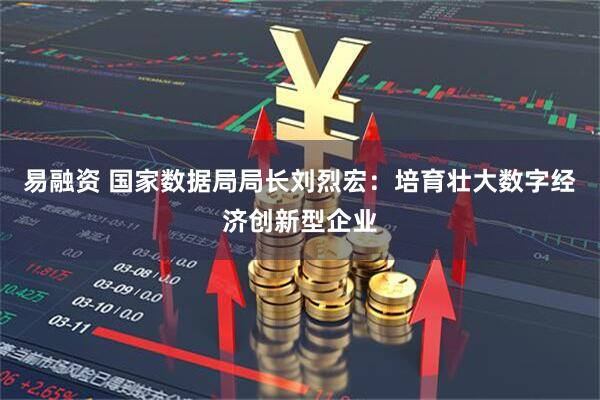 易融资 国家数据局局长刘烈宏：培育壮大数字经济创新型企业