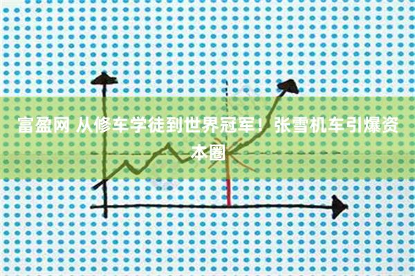 富盈网 从修车学徒到世界冠军！张雪机车引爆资本圈