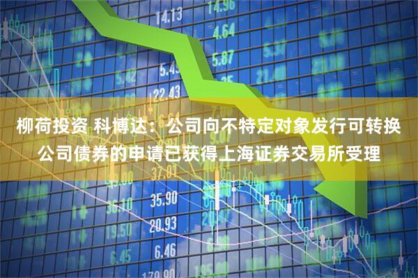 柳荷投资 科博达:公司向不特定对象发行可转换公司债券的申请已获得上海证券交易所受理