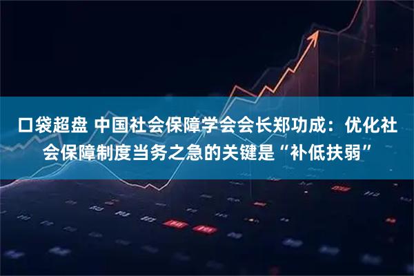 口袋超盘 中国社会保障学会会长郑功成：优化社会保障制度当务之急的关键是“补低扶弱”