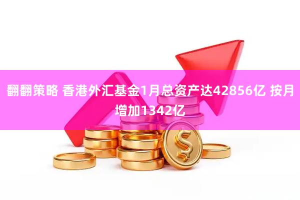 翻翻策略 香港外汇基金1月总资产达42856亿 按月增加1342亿