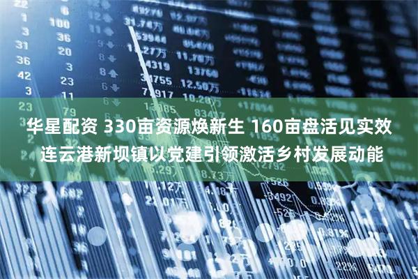 华星配资 330亩资源焕新生 160亩盘活见实效 连云港新坝镇以党建引领激活乡村发展动能