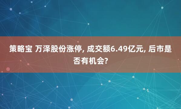 策略宝 万泽股份涨停, 成交额6.49亿元, 后市是否有机会?