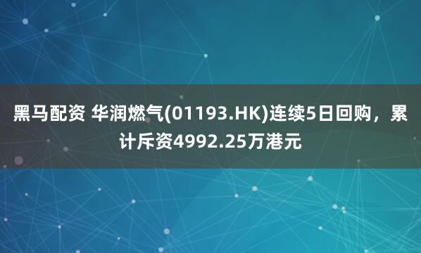 黑马配资 华润燃气(01193.HK)连续5日回购，累计斥资4992.25万港元