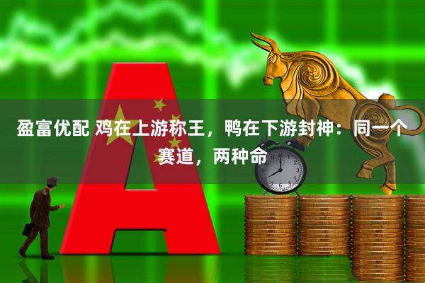盈富优配 鸡在上游称王，鸭在下游封神：同一个赛道，两种命