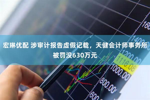 宏琳优配 涉审计报告虚假记载，天健会计师事务所被罚没630万元
