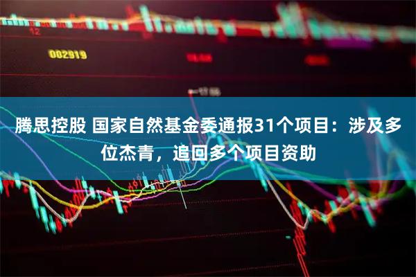 腾思控股 国家自然基金委通报31个项目：涉及多位杰青，追回多个项目资助